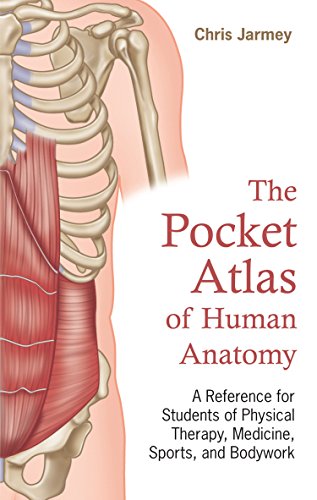 !B.E.S.T The Pocket Atlas of Human Anatomy: A Reference for Students of Physical Therapy, Medicine, Sports, a<br />WORD
