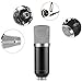 Neewer® NW-700 Professional Studio Broadcasting & Recording Condenser Microphone Set Including: (1) NW-700 Condenser Microphone + (1) Ball-type Anti-wind Foam Cap + (1) Microphone Audio Cable (Black)