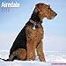 Airedale Calendar - Breed Specific Airedales Calendar - 2015 Wall calendars - Dog Calendars - Monthly Wall Calendar by Avonside