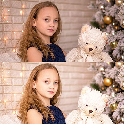 MOUNTDOG Softbox Lighting Kit 540W 20'x 28' 3 pcs Softbox Professional Studio Photography for Portrait Photo Video Shooting