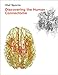 Discovering the Human Connectome (MIT Press)