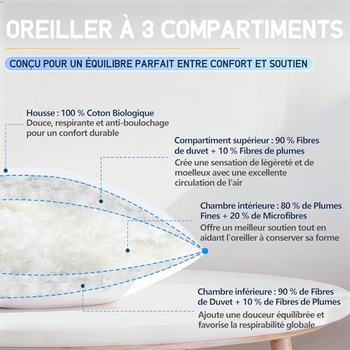 CloudÉtoile Luxury Feather Pillow 50 x 70 cm – 50 x 70 cm Hotel Quality Down and Feather Pillow – Comfort Feather Sleep Pillows 3 Chambers Oeko-Tex Certified – Sleep Like on the Clouds