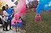 RUIYUXIN USB Baby Gender Reveal Pink and Blue 90-Second Color (2 Pink and 2 Blue)