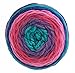 Caron Cake Self Striping Yarn 1 Ball Mixed Berry 7.1 ounces