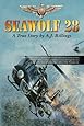 Seawolf28: Branded a Maverick as a Junior Officer this is a true account of naval aviation as seen through the eyes of one of the most decorated Navy pilots of the Vietnam era