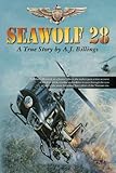 Seawolf28: Branded a Maverick as a Junior Officer this is a true account of naval aviation as seen through the eyes of one of the most decorated Navy pilots of the Vietnam era
