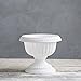 Grecian Urn Planter, White, 12-Inch