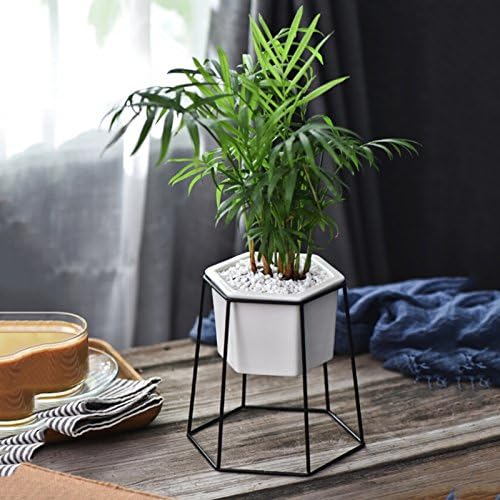 Bokze Modern Garden White Ceramic Hexagon Bowl with Metal Air Plant Stand for Succulent Planter Cactus(White+Black)