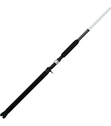 Berkley 7' Big Game Casting Rod, One Piece Nearshore/Offshore Rod, 12-30lb Line Rating, Medium Heavy Rod Power, Moderate Fast Action, 1-4 oz. Lure Rating : Sports & Outdoors