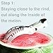 The Best Christmas Stocking Stuffer - PURE UTENSILS Watermelon White Slicer / Melon Baller - Stainless Steel Tong - Core and Slice Honeydew Cantaloupe Effortlessly / Serve Perfectly Gift RECIPE Ebook!