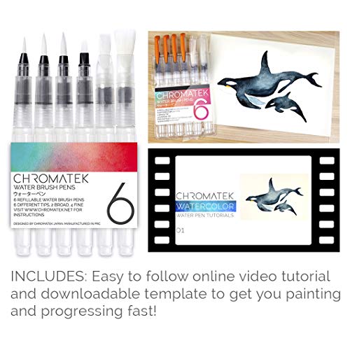 Water Brush Pens by Chromatek. Set of 6 Aqua Pen Painting Brushes. Including Online Video Tutorials  - //coolthings.us
