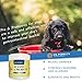 K9 Super Pre and Probiotics for Dogs | Diet Supplements for Puppy | Digestive Aid for Diarrhea | Best Probiotic for Immune Support, Hair and Skin Health | 60 Servings | Beef Flavor
