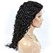 Unprocessed Natural Black Color Brazilian Virgin Human Hair Kinky Curly Full Lace Front Wig (lace front wig, 18inch hair length)