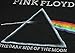 Hybrid Pink Floyd Men's Distressed The Dark Side of The Moon Prism T-Shirt (Medium, Black)