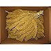 Birds LOVE Wholesome & Lovely Spray Millet Non-GMO (No Stems Only Edible Tops) for Parrots Birds Cockatiel Lovebird Parakeets Finch Canary All Parrots Healthy Treat - 5lbs