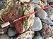 Lamiglas Ultra Light Cast/Troll Jared Johnson Fiberglass Team Kokanee Casting Rod-2 Piece
