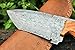 DKC Knives (17 5/18) Sale DKC-85 Tomcat Damascus Skinner Hunting Knife 9