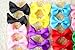 Yagopet 20pcs New Dog Hair Bows Topknot Solid Small Bowknot with Rubber Bands Pet Grooming Products Mix Pure Colors Pet Hair Bows Dog Hair Accessories (Solid Color)