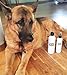 Lovely Fresh Premium Natural Dog Shampoo 3-in-1 Formula With Oatmeal and Neem - Relieves Skin Irritation, Moisturizes and Conditions, Keeps Insects Away - for Sensitive, Dry, Itchy, Normal Skin