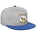 LIXG Singha Beer Casual Trucker Hat Dad Baseball Caps Mesh Back