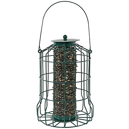 Amazon Com Sunnydaze Outdoor Hanging Wild Bird Feeder Metal