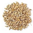 Classic Barley (Jav) Whole 4 oz (100g) ~ All Natural | Vegan | NON-GMO | Indian Origin