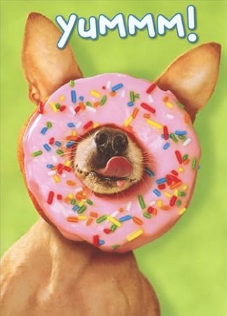 dog donut