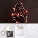 LIDORE Red Led Fairy Light 20 Micro Moon Lights Sliver Wire String Light with Timer Battery Operated 7.8Feet