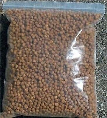 goldendoodle pajamas