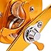 Isafish Baitcasting Reels Conventional Inshore and Offshore Saltwater and Freshwater Fishing Reels Baitcaster Golden Color