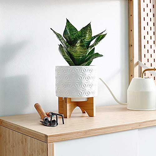 Greenaholics Medium Plant Pot - 5.5 Inch Cylinder White Ceramic Planter with Arched Bamboo Stand, for Small Herb, Snake Plant Seedling