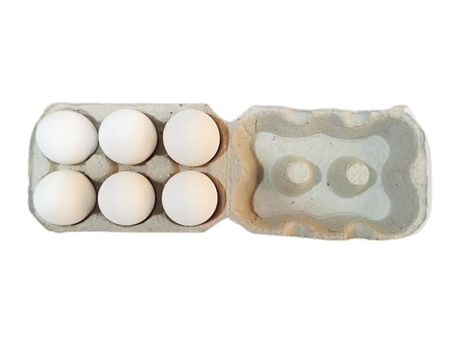 Daily Fresh Eggs, 6 Pieces