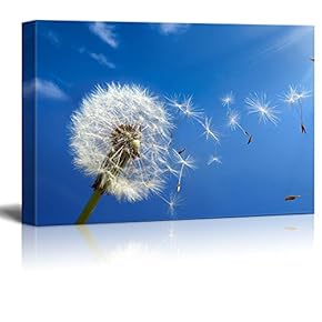Dandelion Blowing in The Wind Wall Decor