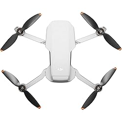 DJI Mini 2 SE Camera Drone Quadcopter with RC-N1