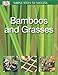 Simple Steps to Success: Bamboos & Grasses by DK Publishing