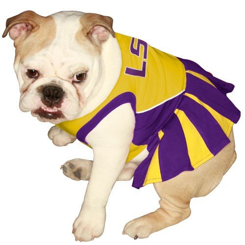 lsu dog apparel