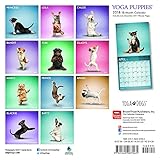 Image de Yoga Puppies 2018 7 x 7 Inch Monthly Mini Wall Calendar, Animals Humor Puppy (Multilingual Edition)
