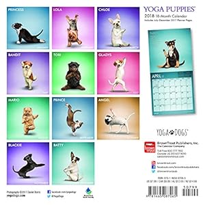 Yoga Puppies 2018 7 x 7 Inch Monthly Mini Wall Calendar, Animals Humor Puppy (Multilingual Edition)