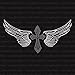 Cross Wings Christian Biker Faith Sparkly Bling Iron-on Rhinestone Crystals and Rhinestud Transfer by JCS Rhinestones
