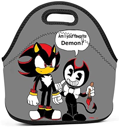 PINGPING88 Ben-dy and Shadow The Hedgehog Lunch Bag Lunch Box Tote Bag for Adults Kids