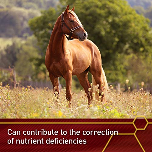 Vita Flex Pro E and Horse Selenium Supplement, Balanced Essential