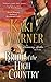 Bride of the High Country (A Runaway Brides Novel)