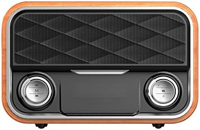 Bluetooth Speaker Soundbar FM AM Radio Wired 3.5mm AUX/RCA Support TF Card for TV Cellphone Tablets (Dark)