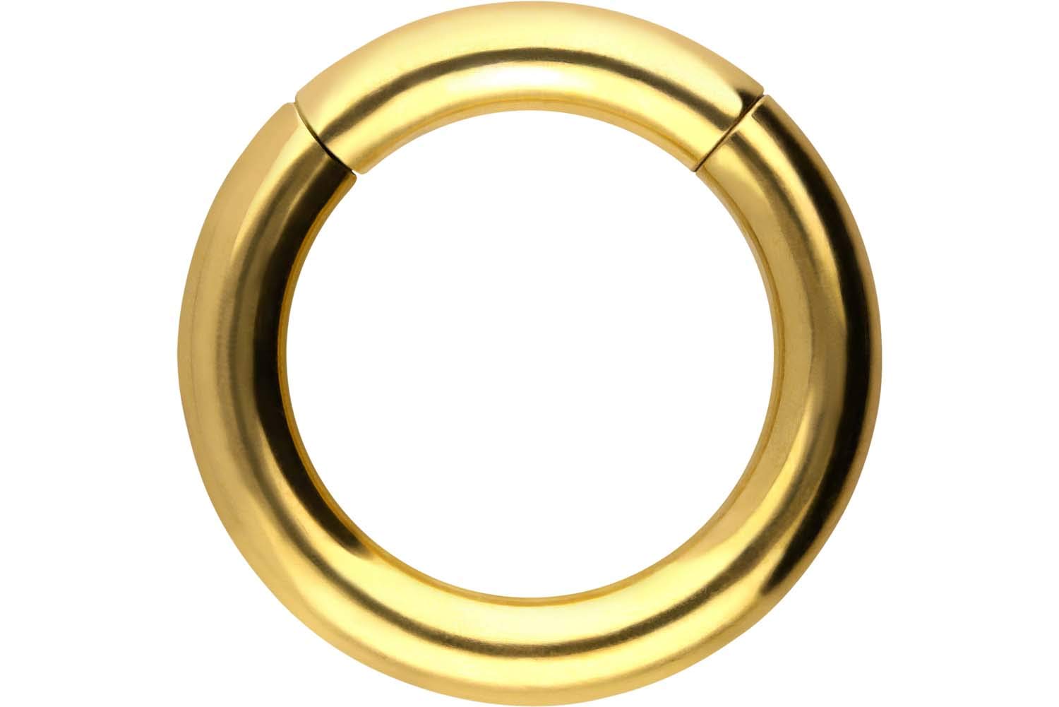 PIERCINGLINE Segment Ring Clicker made of surgical steel - Piercing in Gold color - Size: 0.8 mm bar thickness | 10 mm inner diameter — image 1