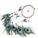 Ricdecor Indian Dream Catcher Wind Chimes Feather Pendant Wall Hanging Home Decoration (Peacock Feathers)