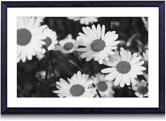 Amazon Co Jp デイジー温暖化 太陽 花 白黒の絵画 装飾画 壁飾り アートパネル インテリアアート 木製の枠 壁ポスター モダン 現代壁の絵 額縁付きの完成品 横 35 50cm ホーム キッチン