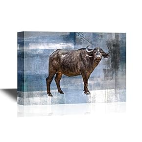 Canvas Wall Art - African Black Buffalo Front Side Isolated - Gallery Wrap Modern Home Art | Ready to Hang - 12x18 inches