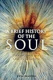 A Brief History of the Soul