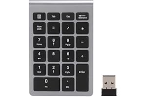 Number Pads,Numeric Keypad 22 Keys Portable 2.4 GHz Number Keyboard for Financial Accounting Data Entry,(Iron Grey)