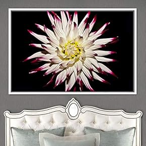 signwin Framed Canvas Wall Art Flora Snapshot Closeup...